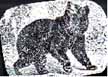 1abear1.JPG (4272 bytes)