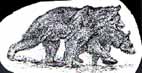 1abear2.JPG (4484 bytes)